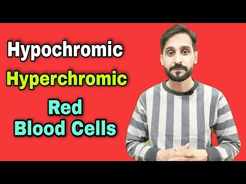 Hyperchromia | Hypochromia and Polychromasia