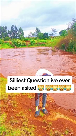 The Silliest Question Ever Asked in Animation