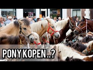 Vlog|| PONY KOPEN van de PAARDENMARKT?!
