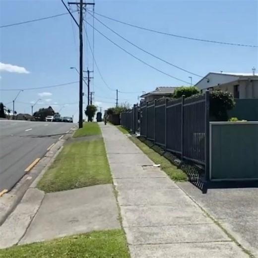 Try A Scooter, It'll Be Fun! #boy #scooter #bird #run #fast #omg #funny #viral #scared#chase #foryoupage #fyp #foryou