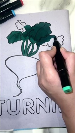 🫜Coloring Turnip Vegetable Easy Turnip Coloring for Kids | Fun Coloring Activity