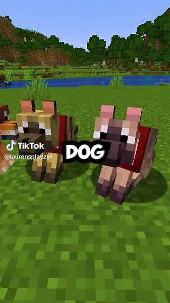 Discover the Exciting New Dog Varieties and Armor in Minecraft 1.21 Update!