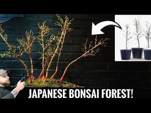 How To Make a Bonsai Forest 🌳