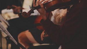 Download A group of people playing violin in a concert for free