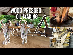 மாட்டு மரச்செக்கு எண்ணெய் | HOW Groundnut (Peanut) Oil is made Wood Cold Pressed Oil | Chekku Ennai