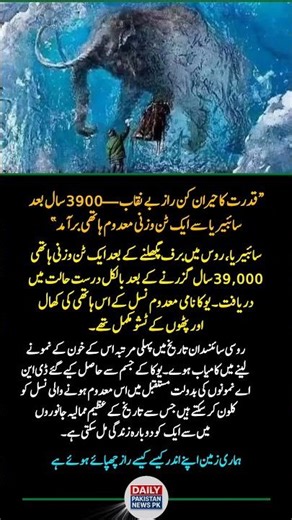 39,000-Year-Old Frozen Mammoth Discovered in Siberia | Yuka DNA Breakthrough