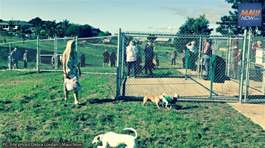 Eddie Tam Memorial Park fields, Upcountry Dog Park temporarily closed | Maui Now