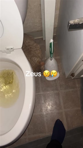 Doc (@zeus_incorporated)’s video of zeus