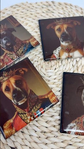 These ceramic sublimation coasters are giving I run the house 👑🐾 #mycraftsource #sublimation