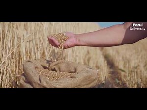 Choose to study Agricultural Engineering | Faculty of Engineering | Parul University