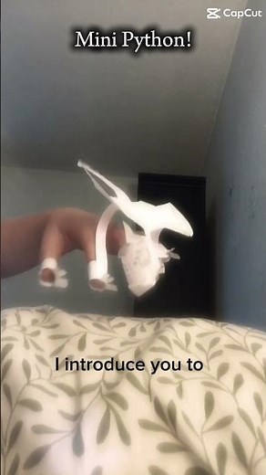 Mini Python!#dragonpuppets