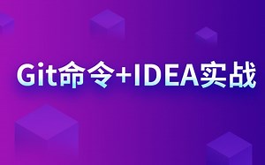 Git命令 IDEA实战 版本控制系统教程 分布式版本控制系统
