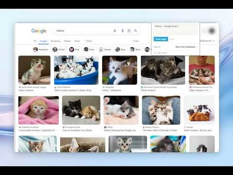 How to Use Notion Web Clipper - Complete Tutorial 2024