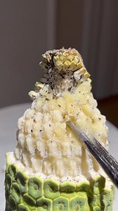 3M views · 12K reactions | The most dangerous fruit I’ve ever tried and one of my favorite plants- monstera deliciosa! This fruit is called the fruit salad fruit because it tastes like a bunch of different fruits all in one. You have to wait until the scales to start falling off on their own before trying it because when it’s not ripened there’s a chemical that will burn you the same way fiberglass does- trust me I learned the hard way  #reels | Soozie the Foodie | Facebook