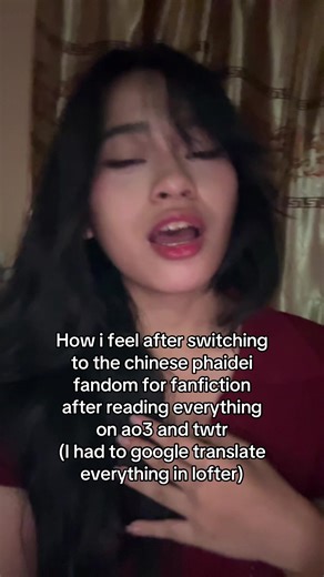 Exploring the Chinese Phaidei Fandom for Fanfiction