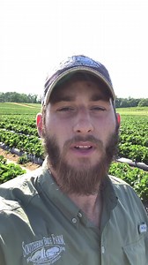 Daniel Welliver is here to remind you that farmers across Georgia are #StillFarming for every community. They are working hard every day to provide for you! | Georgia Farm Bureau