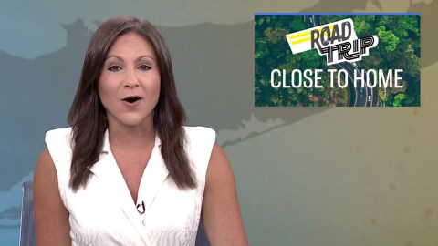 Learn all about fish at the Cold Spring Harbor Fish Hatchery & Aquarium