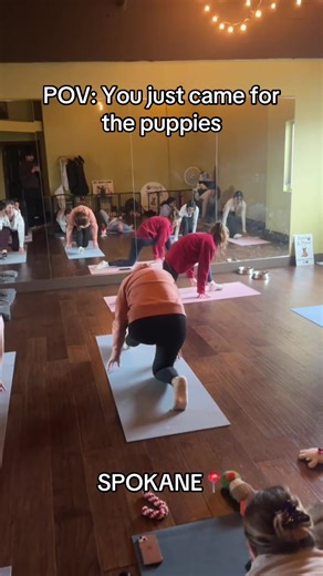 Puppy Cuddles and Beginner Yoga in Spokane