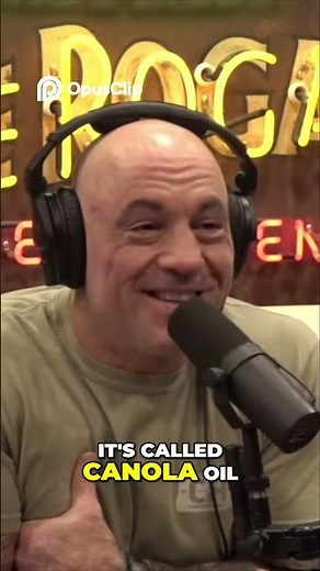 Canola Oil, From Rapeseed to Healthy Cooking, Explained!