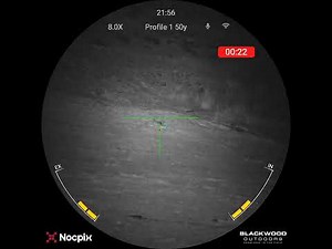 NocPix Nite D70R Long Range Rabbit Shooting with FX Impact