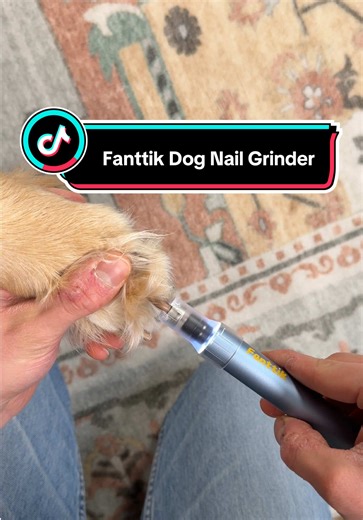 The Best Dog Nail Grinder for Stress-Free Clipping