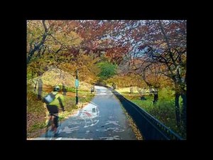 Tim Bowman - Sweet Sundays (video) Smooth Jazz