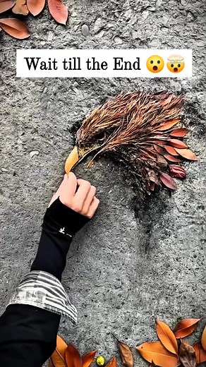 471K views · 12K reactions | Wowww!!! 勞勞 Deep in the stillness of the forest, a Chinese artist brings nature to life without a single brushstroke. ✨ Using only leaves, branches, wild fruits, and vegetables, he creates stunning, temporary artworks that blend seamlessly with their surroundings… #reels #viralreelsシ #fypシ #art #drawing #pencildrawing #artreels #artreelsofinstagram #fblifestyle | Dreharry's Art | Facebook