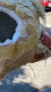 17K views · 172 reactions | Agua  de coco fresquesita | Bajita La Mano | Facebook