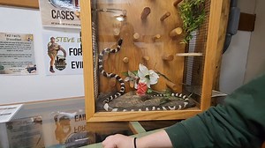 2.1K views · 107 reactions | Come out this weekend and get free admission to the park with a 10 pound bag of dog food per person! | Wildlife Images Rehabilitation & Education Center | Facebook