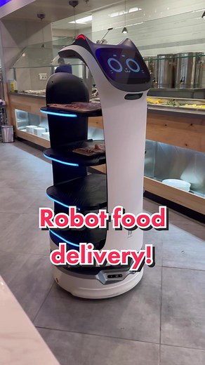Robot Food Delivery: Innovative Dining Experience