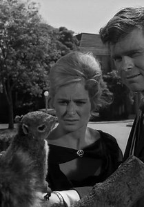 The Twilight Zone S05:E22 - Stopover in a Quiet Town (Aka Strangers in Town)