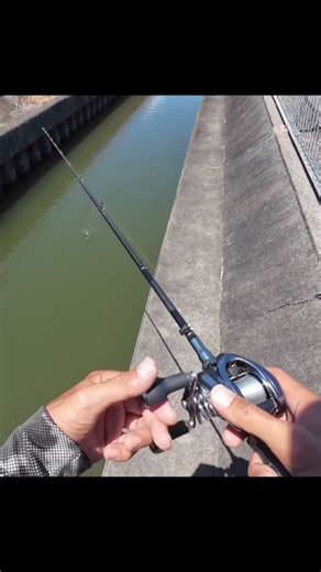 【ルアー釣り】脅威の水面爆破！デカすぎる怪魚が喰ってきた！？水面炸裂バイトはエグすぎた！
