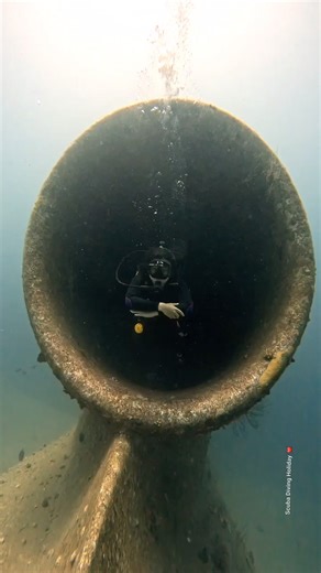 Exploring the mysterious underwater world of a sunken airplane ✈️🌊 — where history meets marine life. An unforgettable dive experience! Share 💝 #WreckDive #UnderwaterAdventure #ScubaLife #RedSeaDiving #wreck #UnderwaterWorld #wreckdiving | Scuba Diving Holidays
