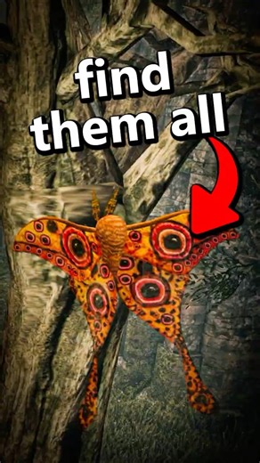 Every hidden moth in Dark Souls 2... #darksouls #darksouls2 #shorts