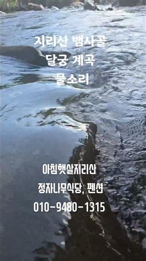지리산뱀사골 달궁계곡 6월 봄철 맑고 청아한 계곡 물소리.26.6.5 #지리산 #지리산뱀사골 #뱀사골 #달궁 #달궁계곡