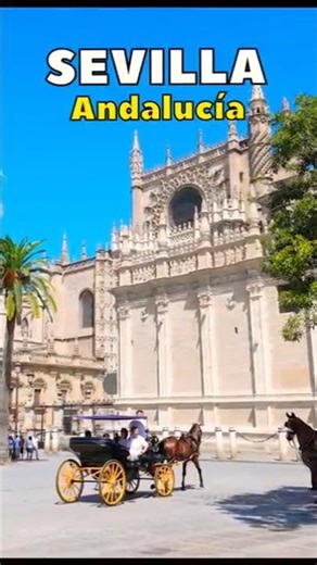Seville, Andalusia, Spain 🇪🇸 #sevilla2025 #sevillespain
