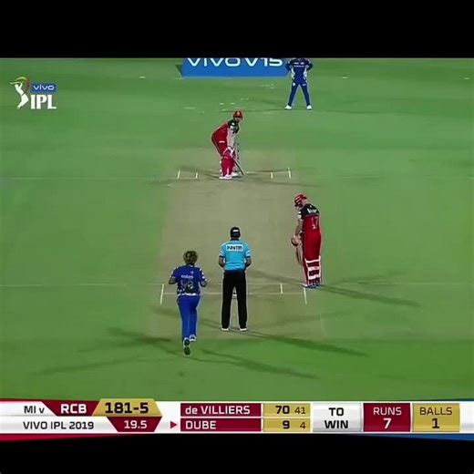 Match-Fixing Scandals in Cricket Revealed