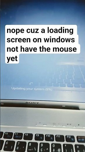fake loading screen?