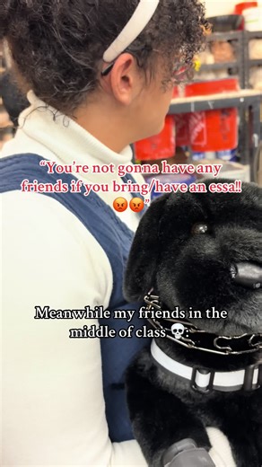 Fjerdan Soft Launch: Embracing Essas in Community