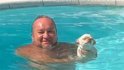 Tiny dog learns to paddle in pool