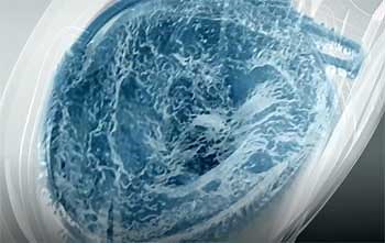 TOTO G-Max Vs. Tornado Flush: In-depth Differences And Features | Bathroom Gadgets Ideas