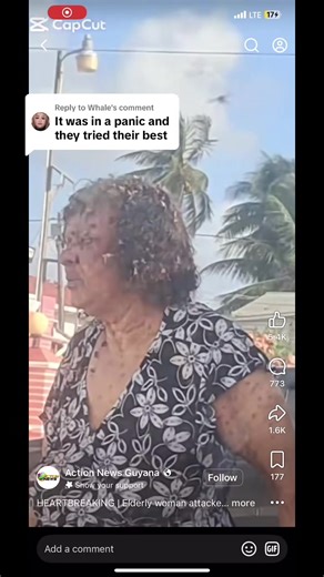 Replying to @Whale DO NOT SPRAY CHEMICALS (insecticide) on a person who is being attacked by bees. 🚫 Why? FLY SPRAY contains toxic chemicals that can: Irritate eyes and lungs Cause breathing problems Poison the person Spraying it can make bees more aggressive You risk harming both the victim and yourself ✅ What You SHOULD Do If Someone Is Being Attacked by Bees 1️⃣ Run away immediately (do not stand and fight) 2️⃣ Cover face and head with shirt or cloth 3️⃣ Get inside a building or vehicle quic