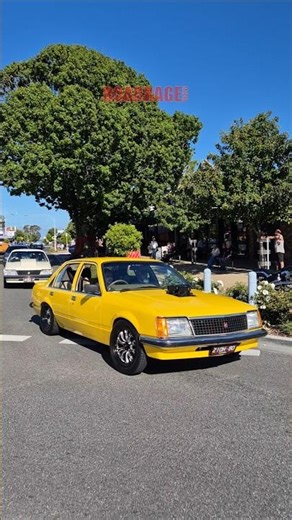 Holden Commodores