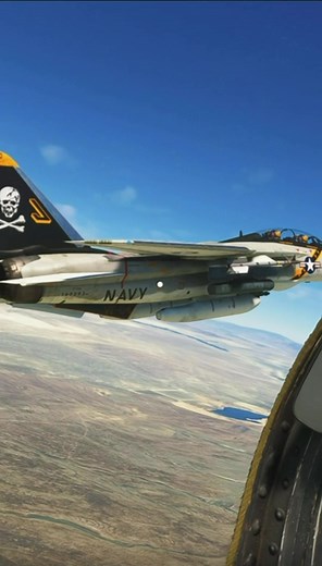 Fly an F-14 Tomcat in War Thunder & DCS