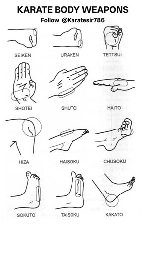 Karate body weapons | KARATE SIR