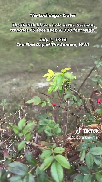 The Battle of the Somme: A Day of Infamy