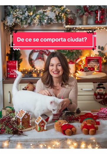 Te-ai intrebat de ce pisica ta se comporta ciudat in perioada sarbatorilor? 😺🎄 Nu e rea, nu e agitata din senin, ci doar coplesita de tot ce se intampla in jur. Apar mirosuri noi. Vin colindatori. Se aud sunete puternice, zgomote necunoscute. Un brad urias apare brusc in casa. Se schimba rutina si ritmul zilnic. Pentru o pisica, toate aceste lucruri sunt mult prea intense. Unele pisici miauna mai mult. Altele se ascund sau refuza sa manance. Poate chiar fac pipi in locuri neobisnuite. Totul es