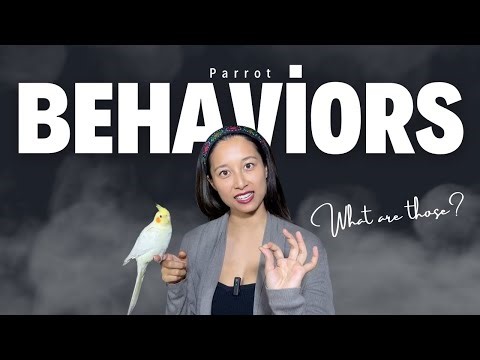 Parrot Behaviors