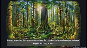 Copper soaps in biology