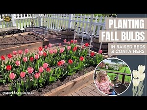 Planting Fall Flower Bulbs in Raised Beds & Containers